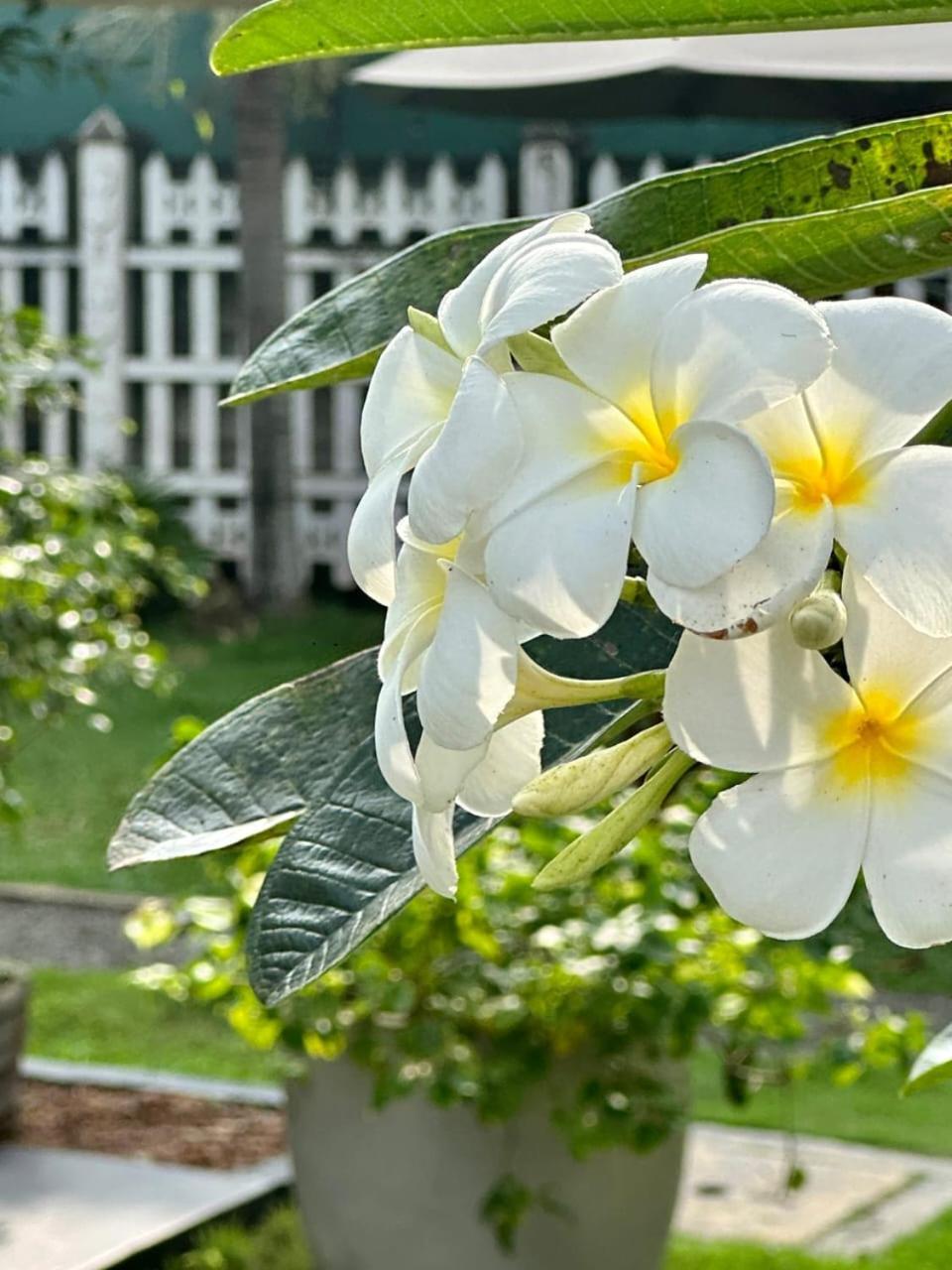 Villa Sunny Days Hikkaduwa Exterior photo